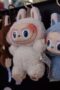 Labubu Dolls for sale